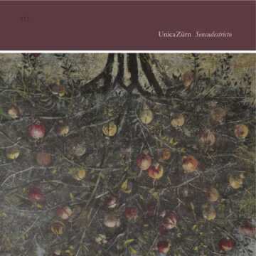 UnicaZürn - Sensudestricto