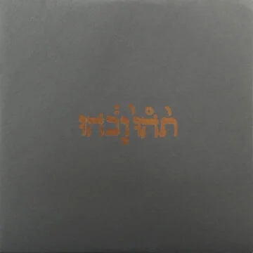 Godspeed You Black Emperor! - Slow Riot For New Zero Kanada E.P.