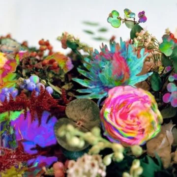 Darkstar - News From Nowhere