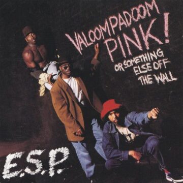 E.S.P. - Valoompadoom Pink! Or Something Else Off The Wall