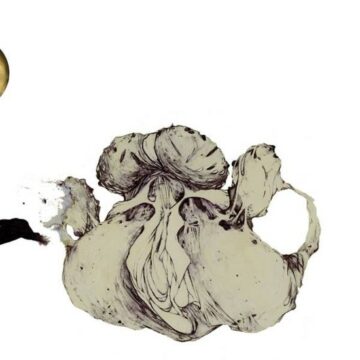 Coil - The Ape Of Naples