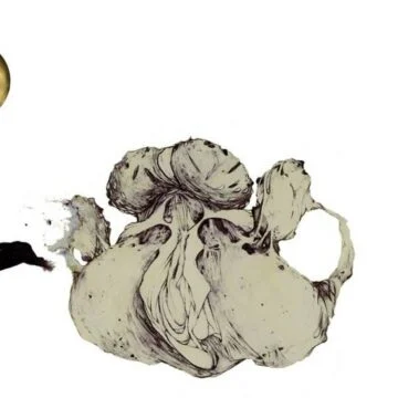 Coil - The Ape Of Naples