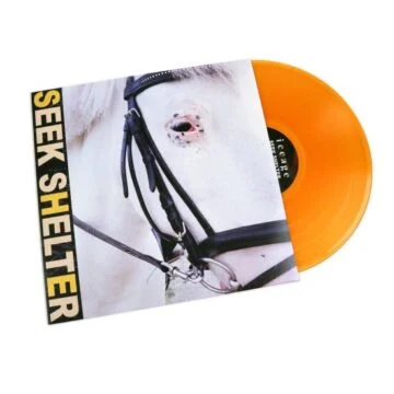 Iceage - Seek Shelter