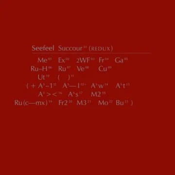 Seefeel - Succour (Redux)