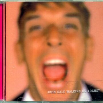 John Cale - Walking On Locusts
