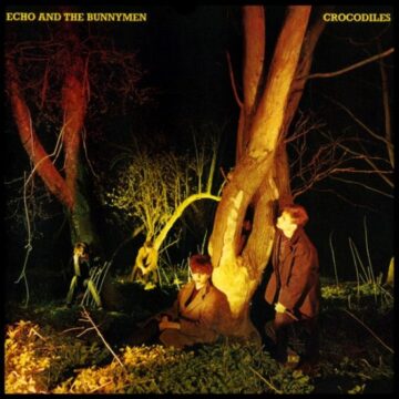 Echo And The Bunnymen - Crocodiles