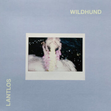 Lantlôs - Wildhund