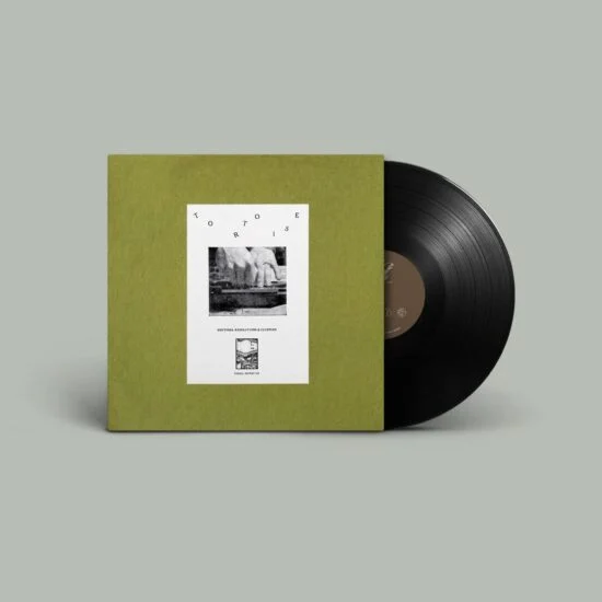 tortoise-rhythms-resolutions-and-clusters
