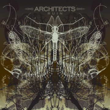 Architects - Ruin