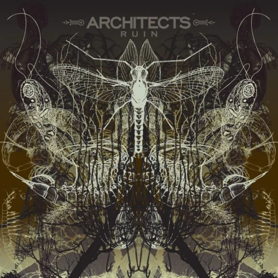 architects-ruin