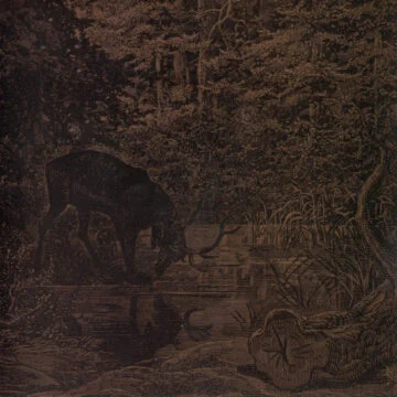 Agalloch - Of Stone, Wind & Pillor Ed. Limitada
