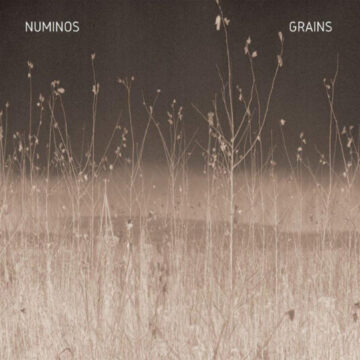 Numinos - Grains