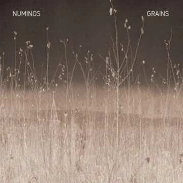 Numinos - Grains