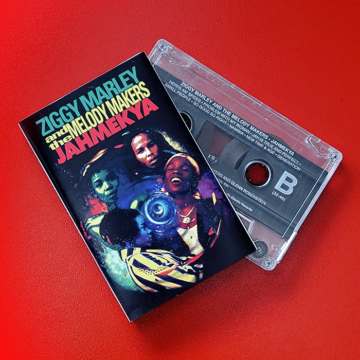 Ziggy Marley And The Melody Makers - Jahmekya