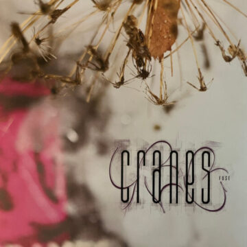 Cranes - Fuse