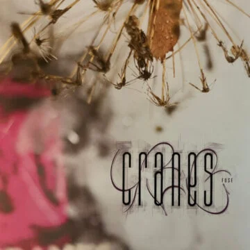 Cranes - Fuse
