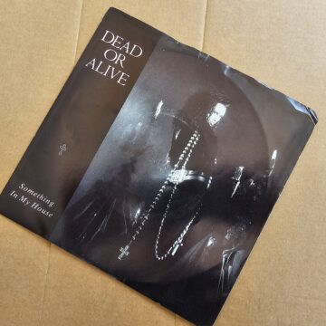 Dead Or Alive - Something In My House