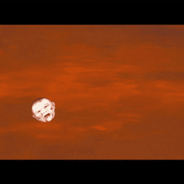 David E. Williams - Hope Springs A Turtle