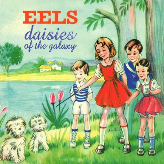 Eels Daisies