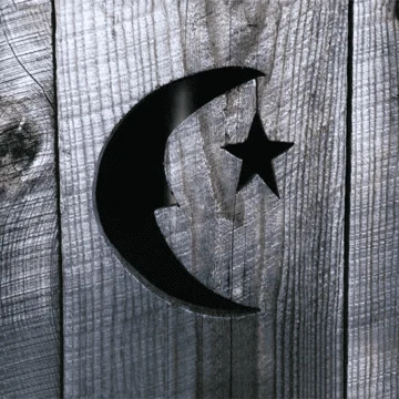 Phish - Farmhouse