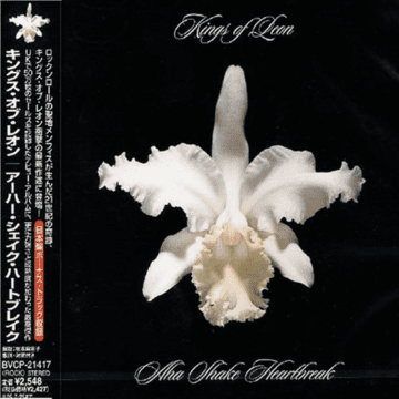 Kings Of Leon - Aha Shake Heartbreak