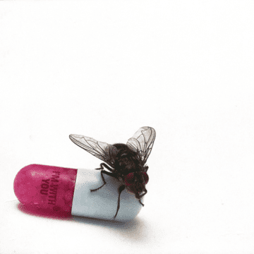 Red Hot Chili Peppers - I´M With You