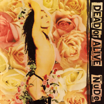 Dead Or Alive - Nude