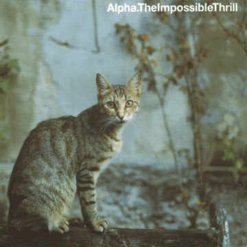 Alpha - The Impossible Thrill