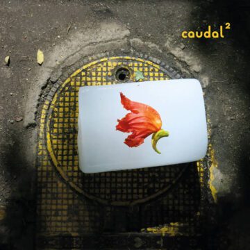 Amanda Irarrazabal - Caudal 2