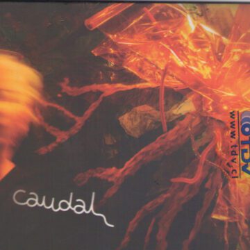 Amanda Irarrazabal - Caudal