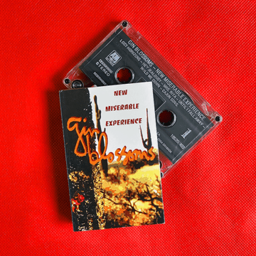 Gin Blossoms - New Miserable Experience