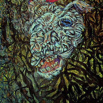 Cristobal Ulloa Cotapos - Fuerza Vital