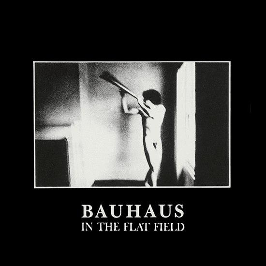 Bauhaus In the flaT FIELD
