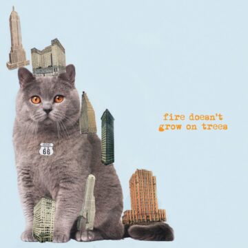 Brian Jonestown Massacre, The - Fire Doesn’t Grow On Trees