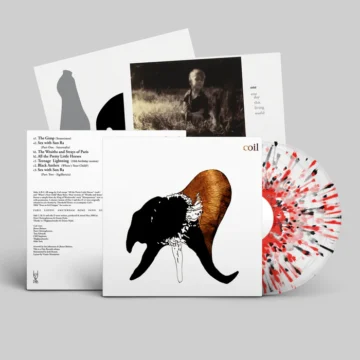 Coil - Black Antlers