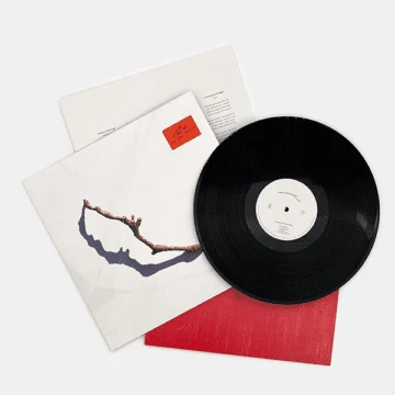 PJ Harvey - I Inside The Old Year Dying