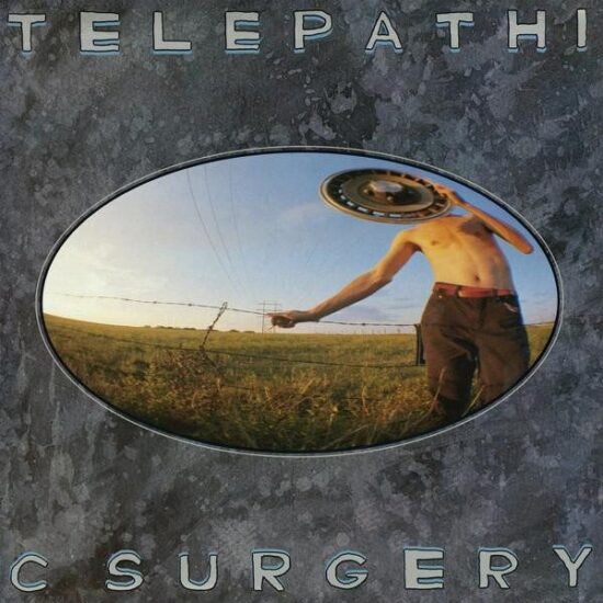 The Flaming Lips – Telepathic Surgery