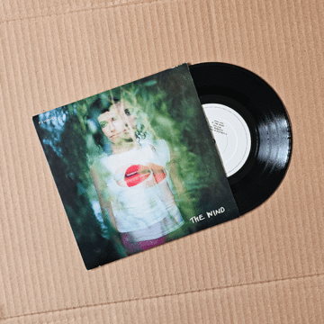 P J Harvey - The Wind 7″