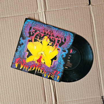 Cult, The - Wild Flower 7″