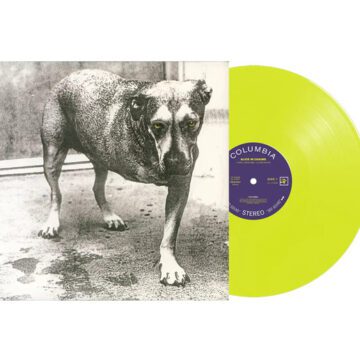 Alice In Chains - Alice In Chains, 30th Anniversary