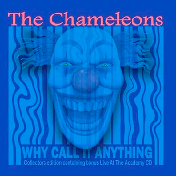 Chameleons, The - Why Call It Anything