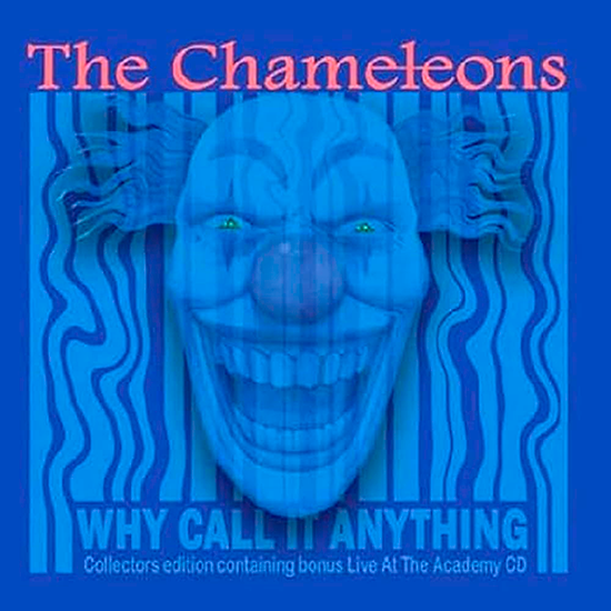 Chameleons Why Call It Anything