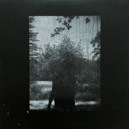Grouper – Ruins