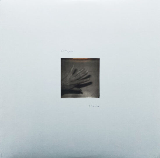 Grouper – Shade