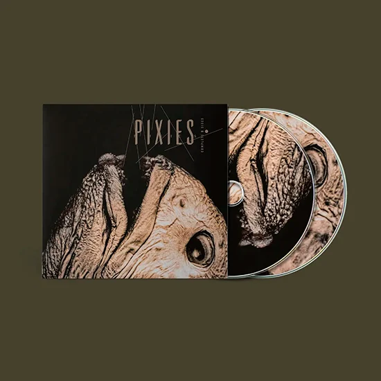 Pixies B Sides