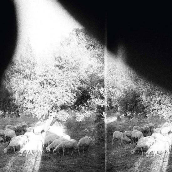 godspeed-you-black-emperor-asunder-sweet-and-other-distress-lp-25859374989_600x (2)