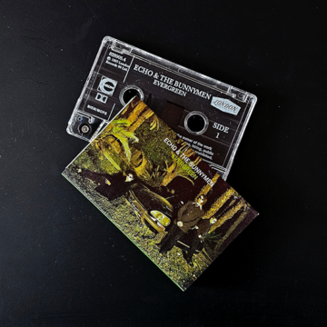 Echo & The Bunnymen - Evergreen