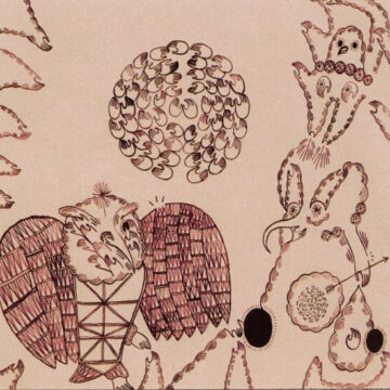 Devendra Banhart - Rejoicing In The Hands
