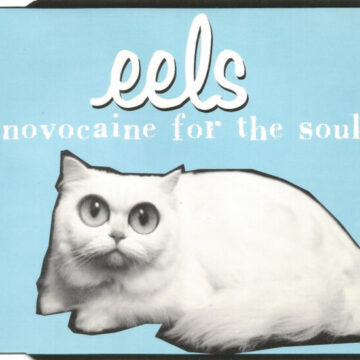 Eels - Novocaine For The Soul